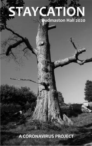Staycation Cover - Dudmaston Hall 2020 - Dead tree