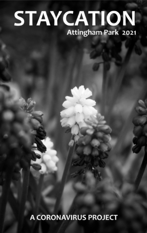 Staycation Cover - Attingham Park 2020 - Wild flowers