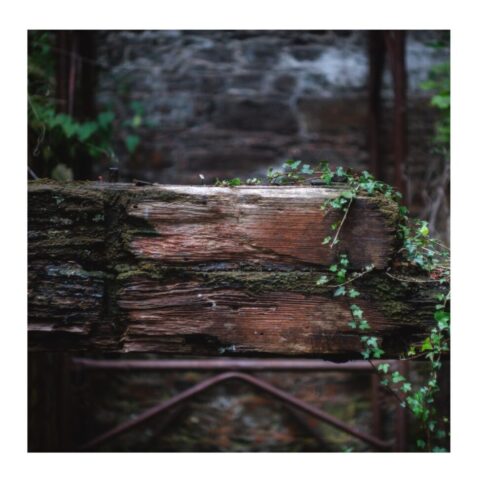 Old wooden beam Old wooden beam