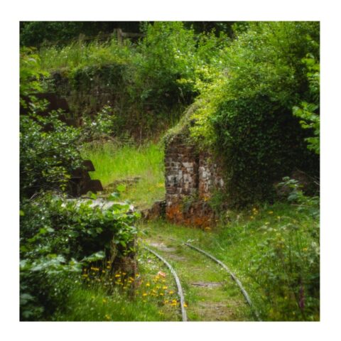 Railway workings Narrow gauge railway workings