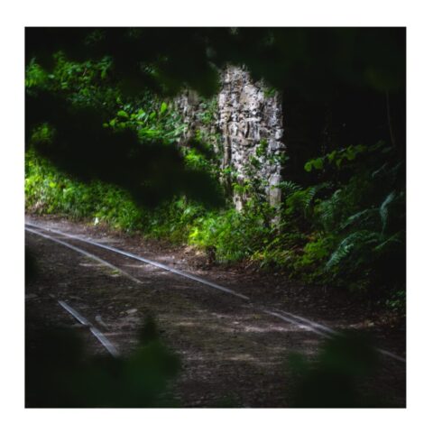 Railway workings Narrow gauge railway workings