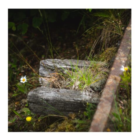 Old railway sleeper Old railway sleepers on a narrow gauge track