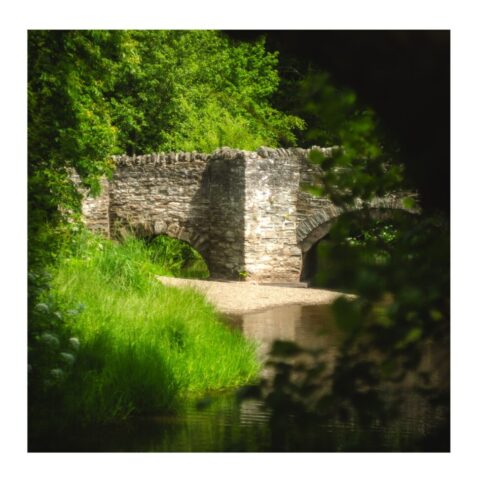 Club Bridge Club Bridge