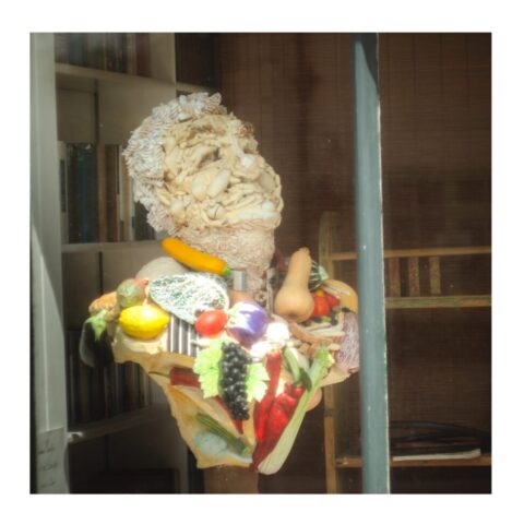 Food bust in an antique shop window, Clun Food bust in an antique shop window, Clun