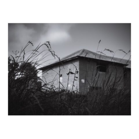 'House-like' buildings constructed to aid urban warfare training behind a hedgerow